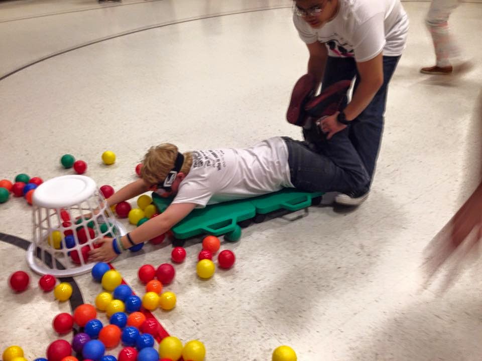 the independent little bee... Hungry, Hungry Hippos!