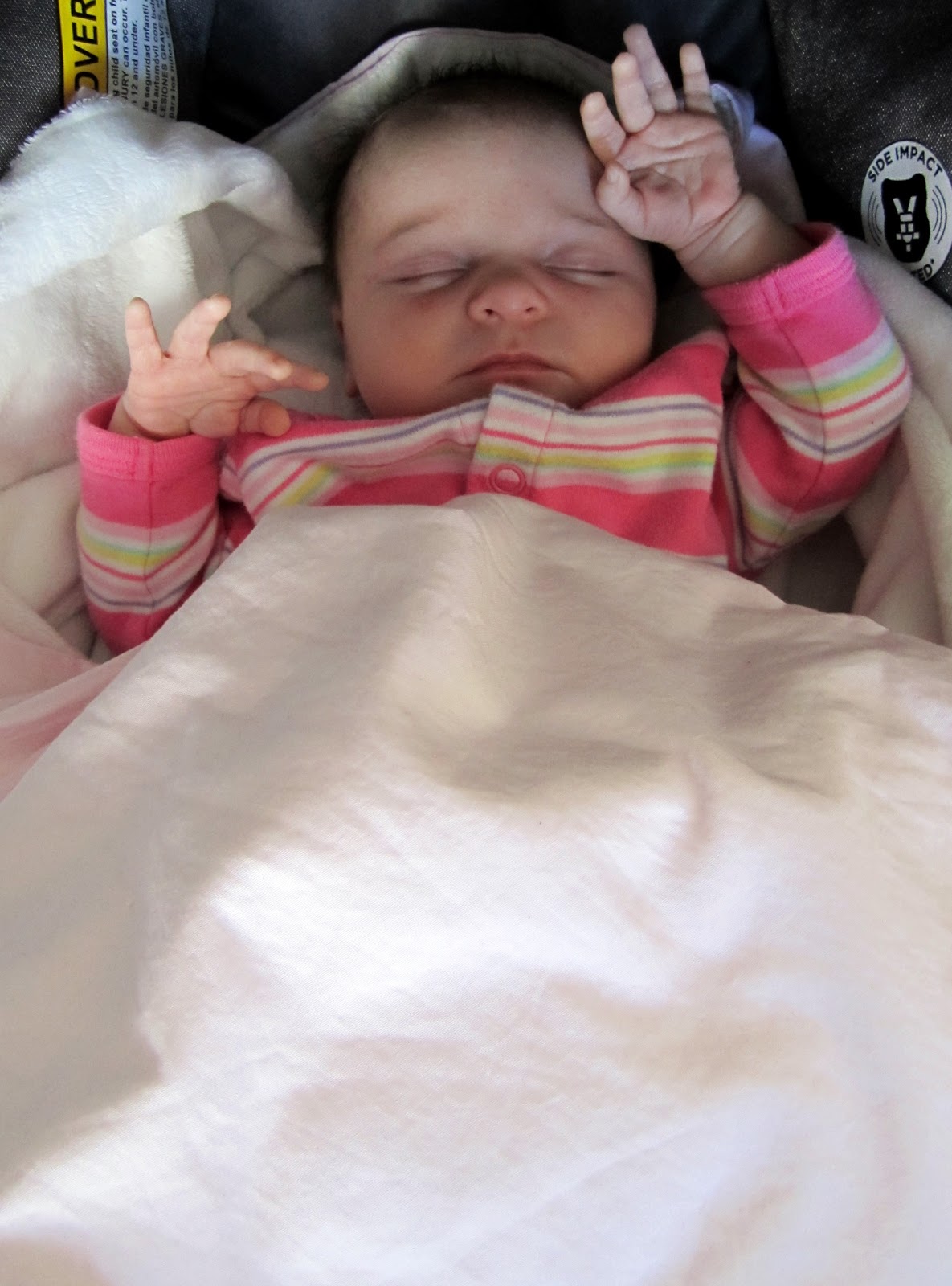 7x7xMommy What do Babies Dream About?