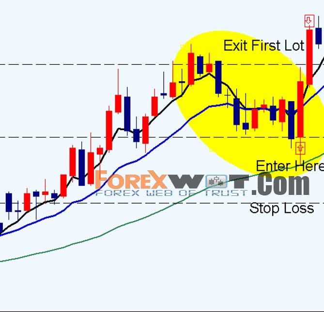 forex 2 pips a day