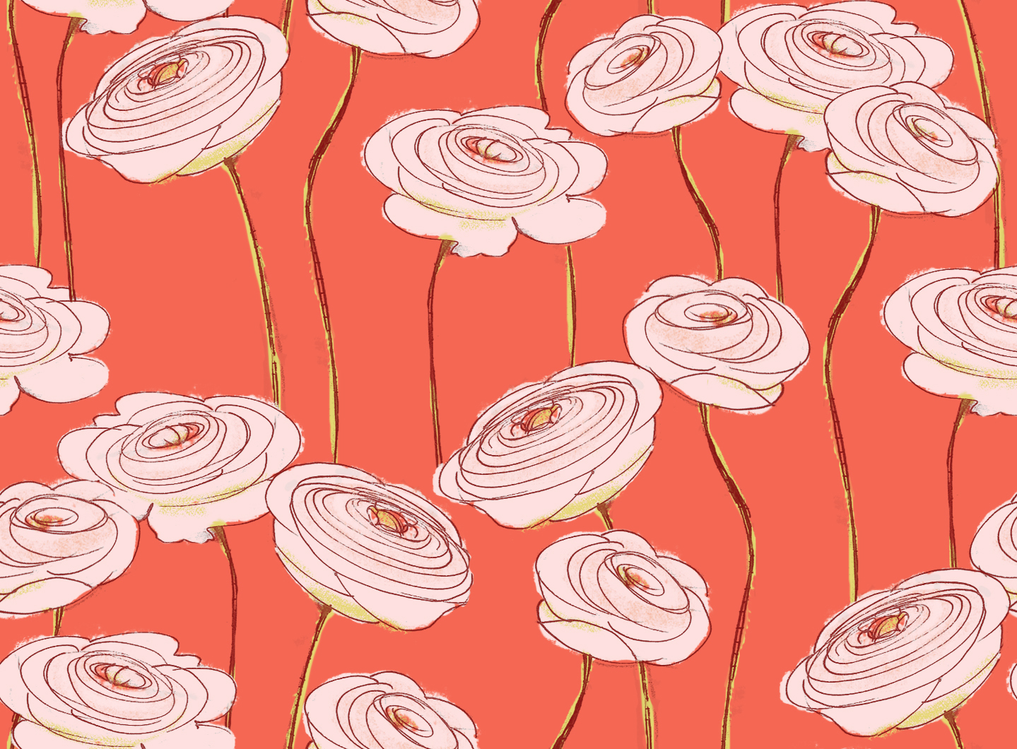 http://2.bp.blogspot.com/-6gNhy2UG9CQ/T6aeU6kZPkI/AAAAAAAACFs/AHdeO0nOD68/s1600/ranunculus.jpg