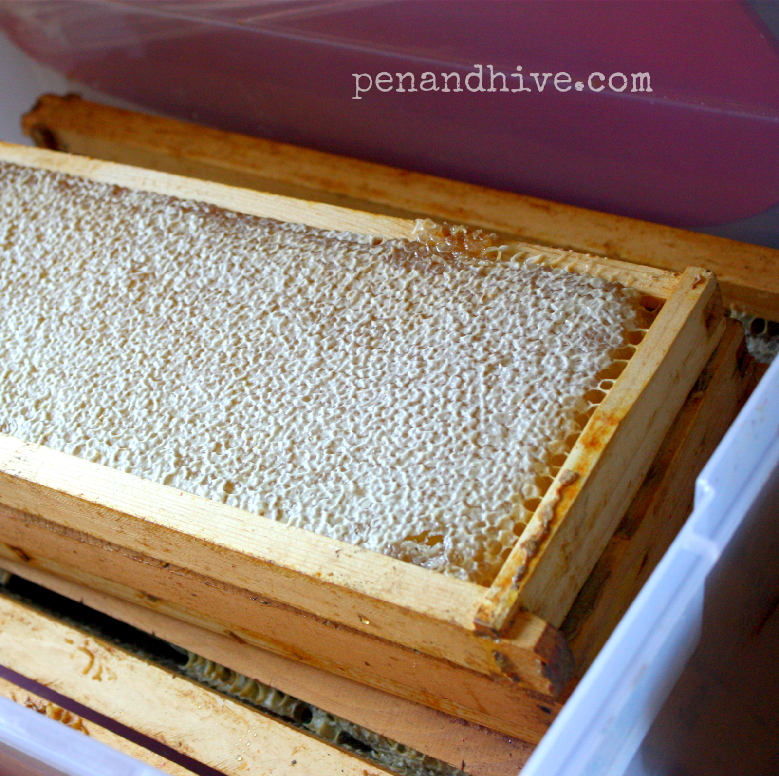 Pen & Hive Harvesting Honey Without an Exractor