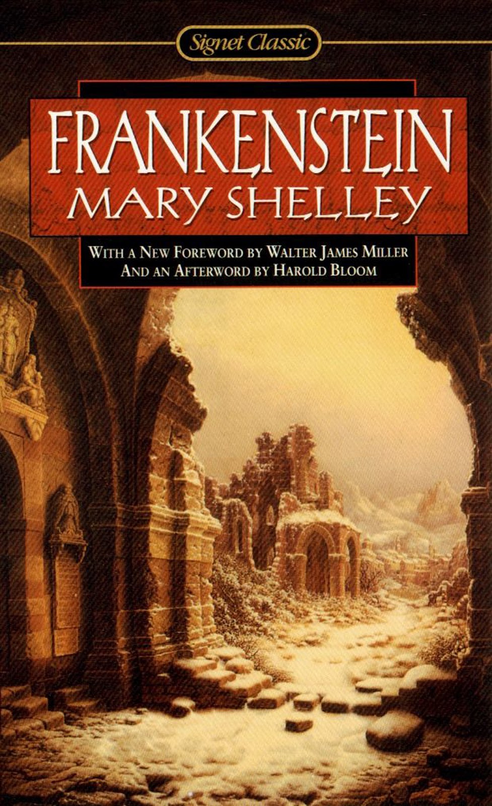 mary shelleys novel frankenstein essay mary shelleys novel frankenstein essay