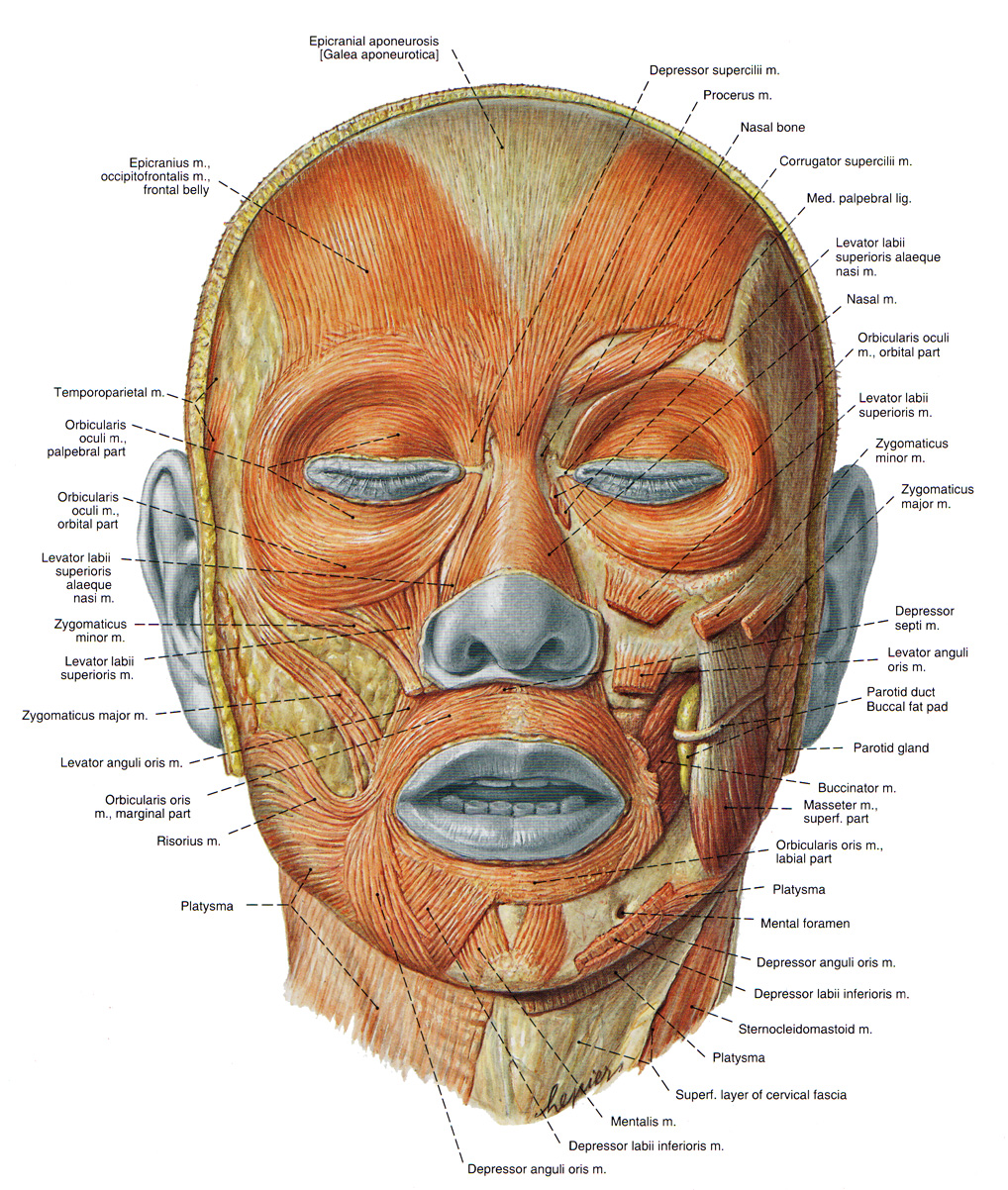 The Expressive Figure: February 2013