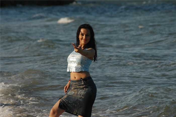 priyanka kothari aka nisha kothari ,armpit in beach unseen pics