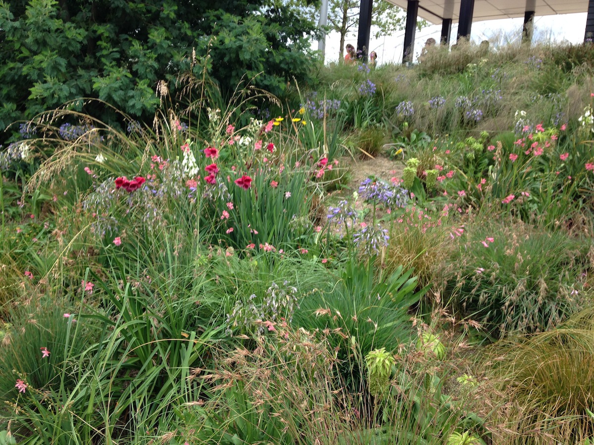 Beechwood Landscape Architecture And Construction Spring Glory