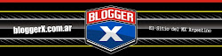 Blogger X