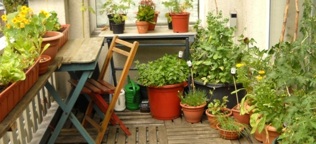 Bacsac Decorer Votre Jardin Avec De Grand Pot De Fleur Chez Basac