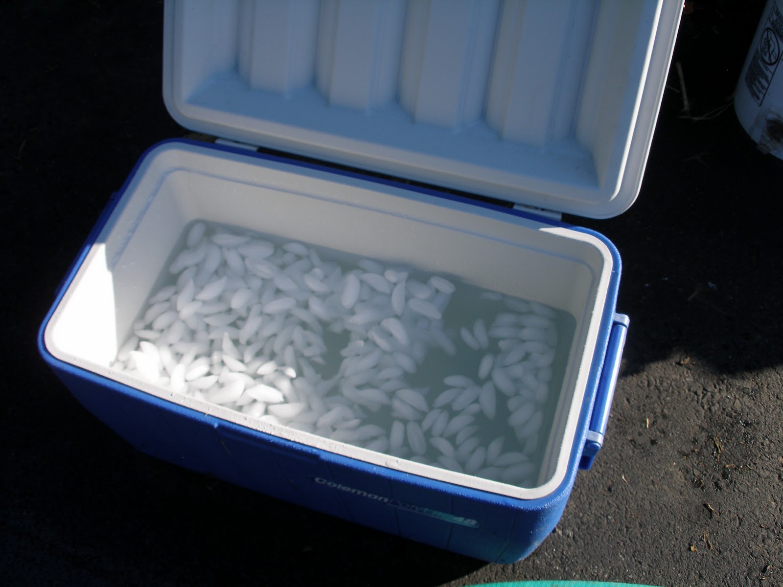 8 Tips for the Most Effective Cooler Use