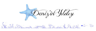 Denizin Yıldızı