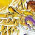 Shiori Teshirogi dá Adeus a Saint Seiya