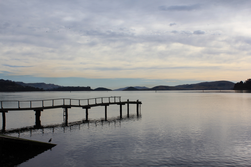 This Fluid Thrill Research Roadtrip Urban coastal settlements