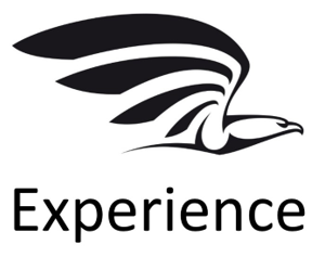 Experience