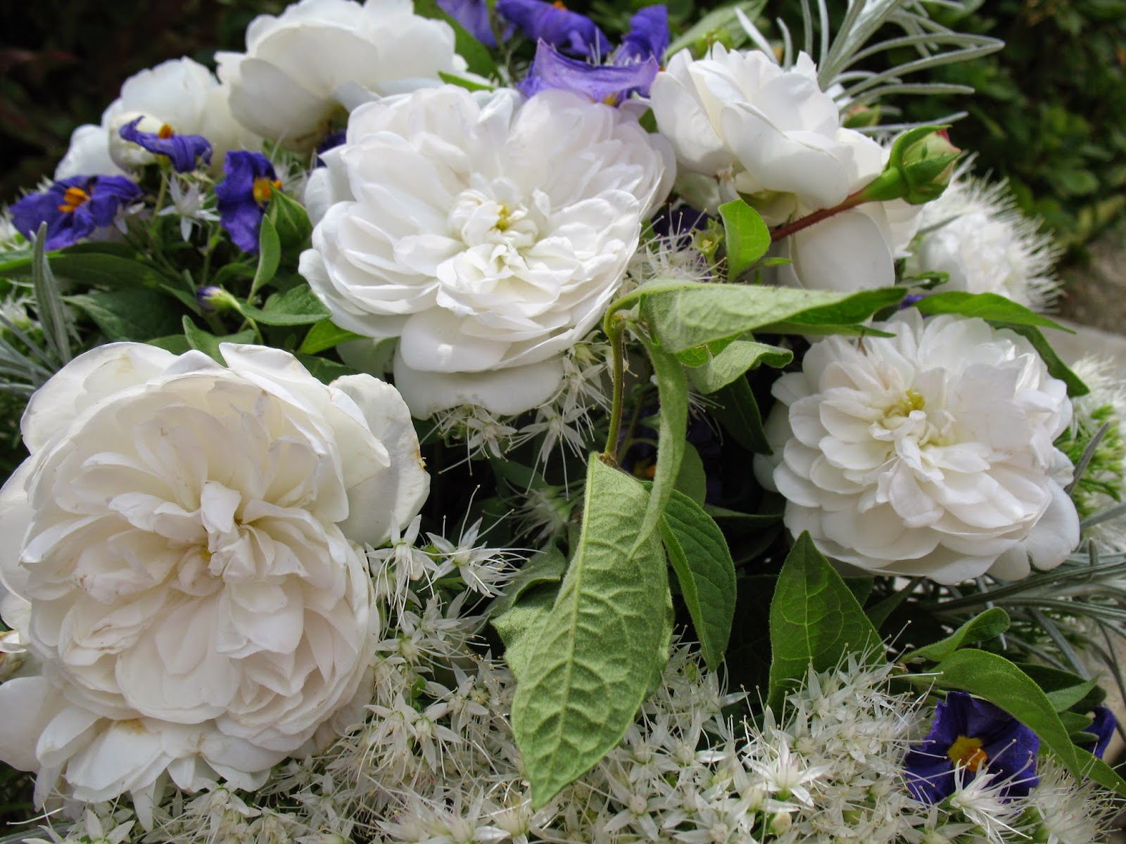 Citrine S Blog Lip Gloss Lipstick And All That Good Stuff