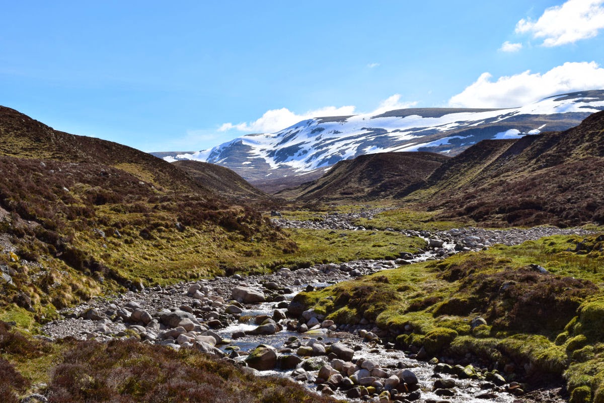Love of Scotland Creag Meagaidh