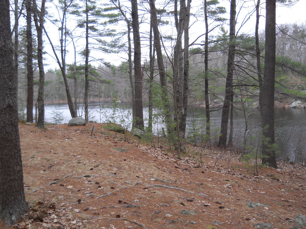Cub Scout Pack 722 Wakefield Massachusetts Sudden Pond Campground, Harold Parker State Forest