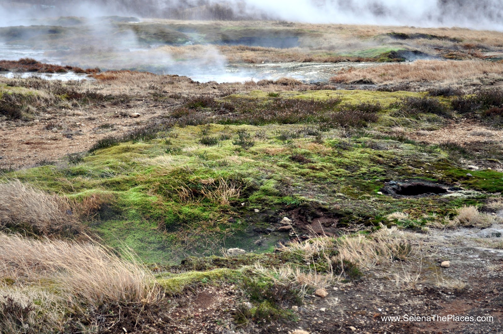 Iceland's Strokkur Geyser