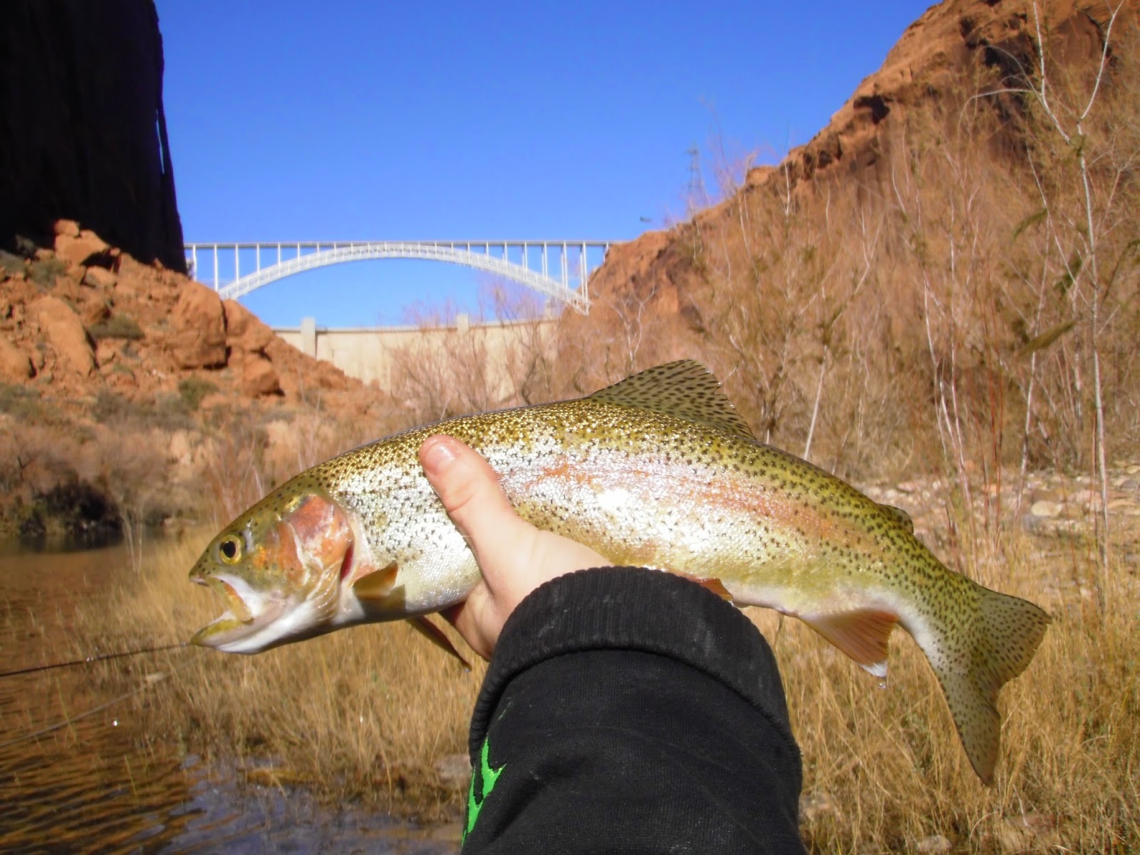 Lees Ferry Fishing Report Lees Ferry AZ Marble Canyon Outfitters is