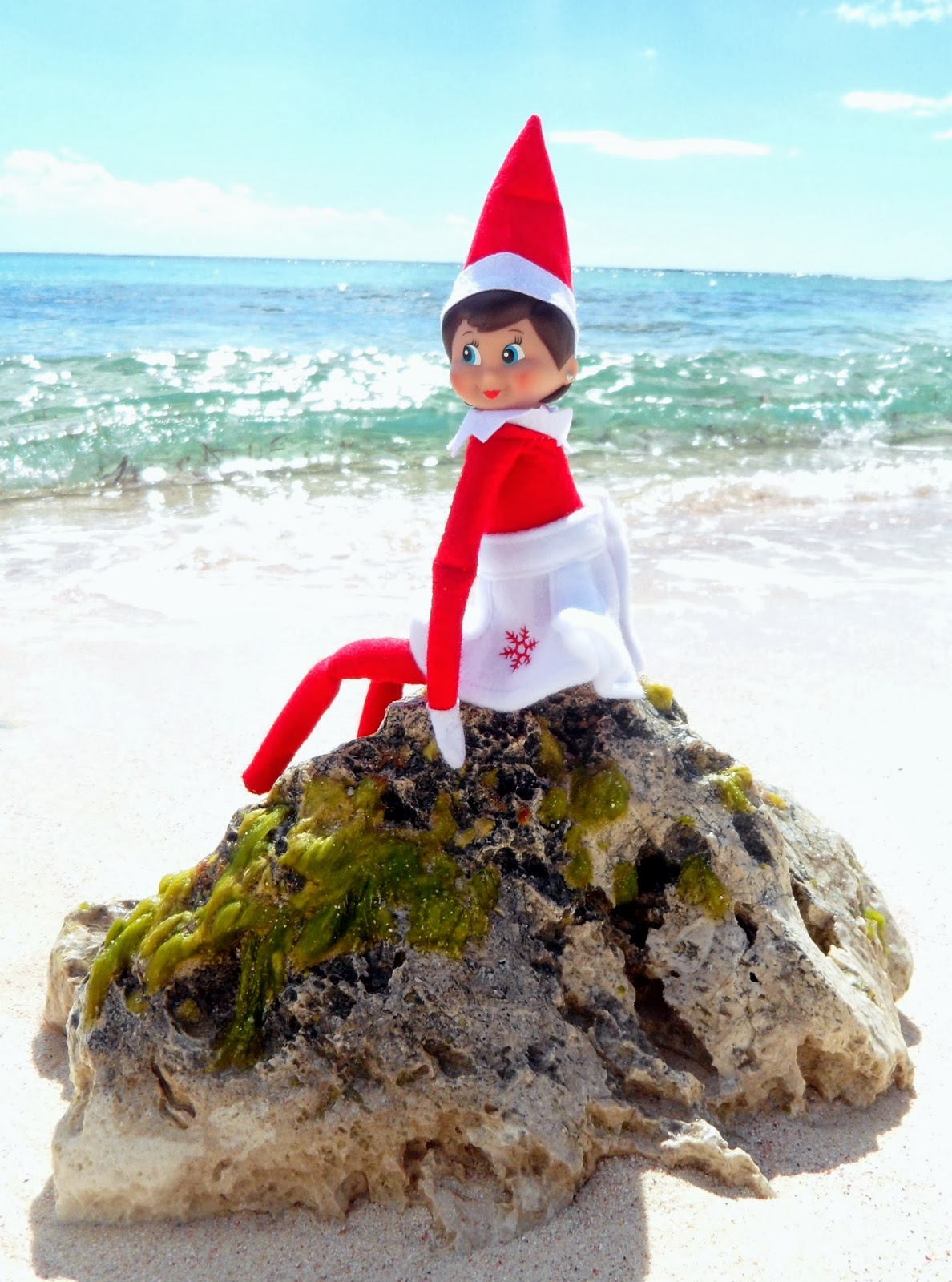 SAM_9269.JPG 1,188×1,600 pixels Elf on the shelf, Elf, Beachy christmas