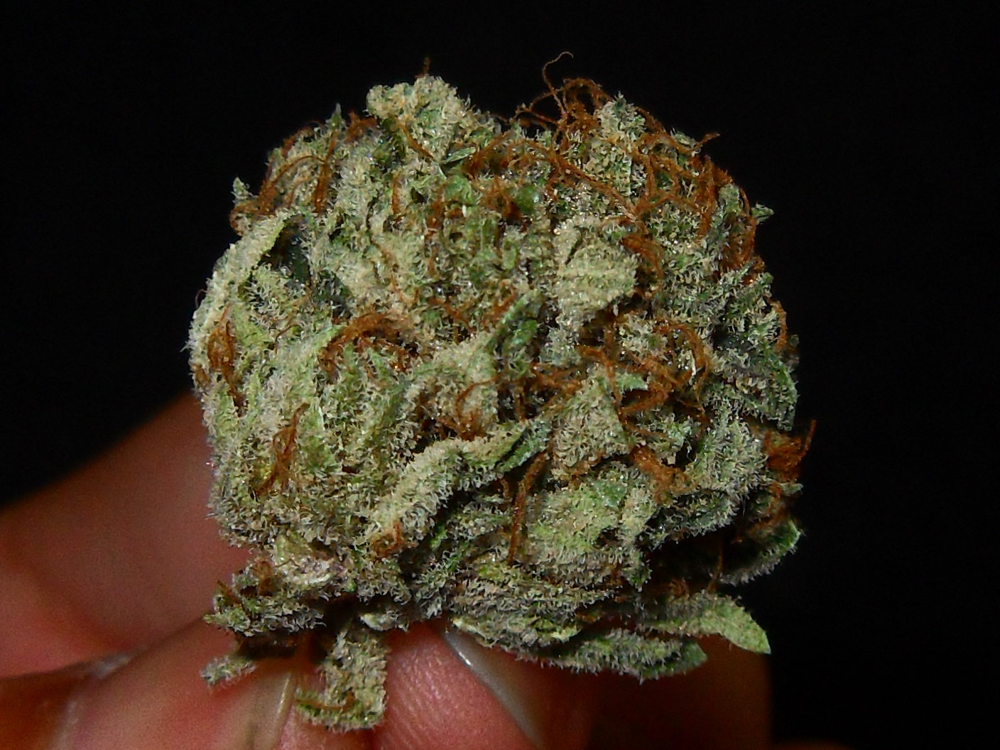 og fire