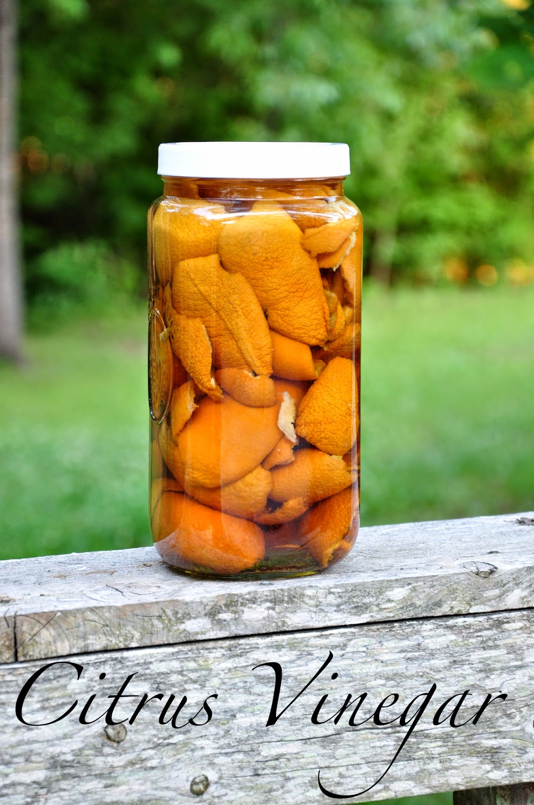 Make it Mondays Citrus Vinegar