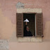 Discord Remains at Vatican as Pope Benedict Departs