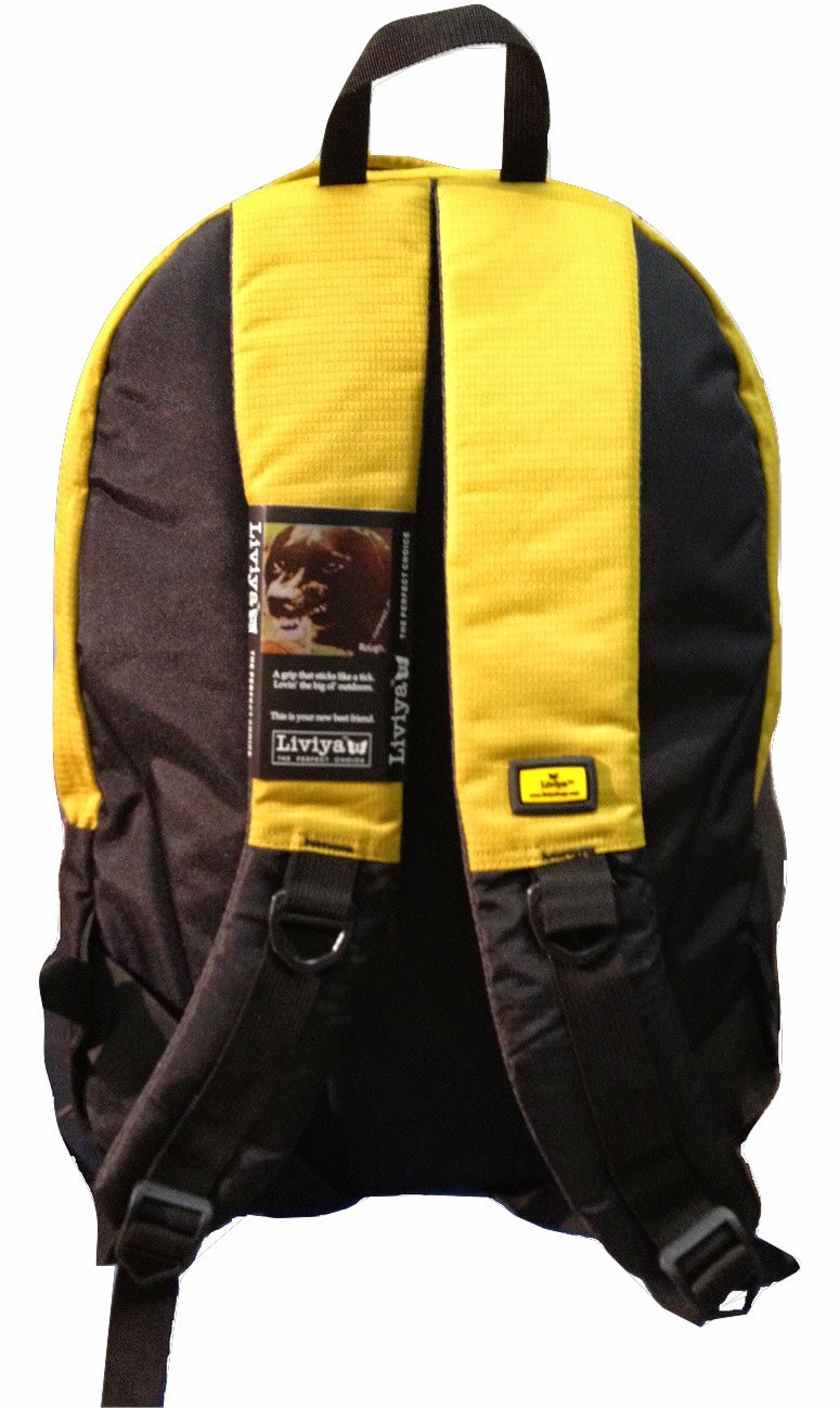 liviya bags amazon