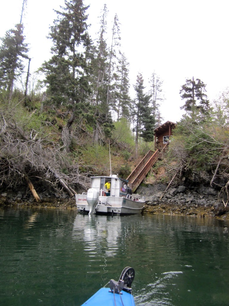 each day an adventure in alaska halibut cove lagoon...act 2...