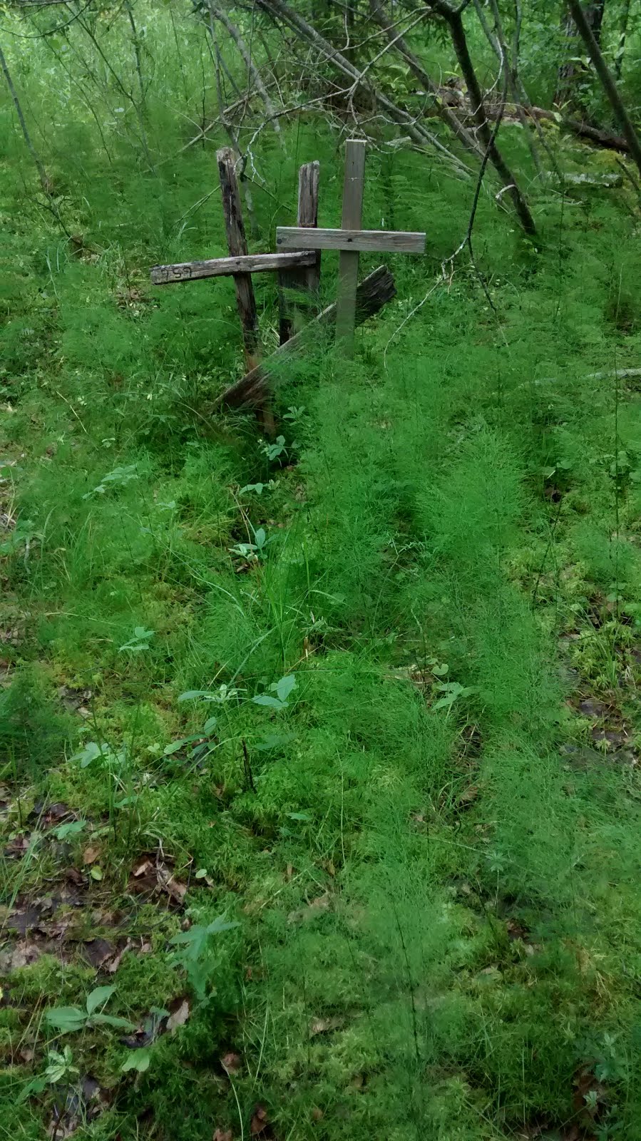 Crosses marking the site of the swamp graves of Eine Nyyssönen and Riitta Pakkanen.