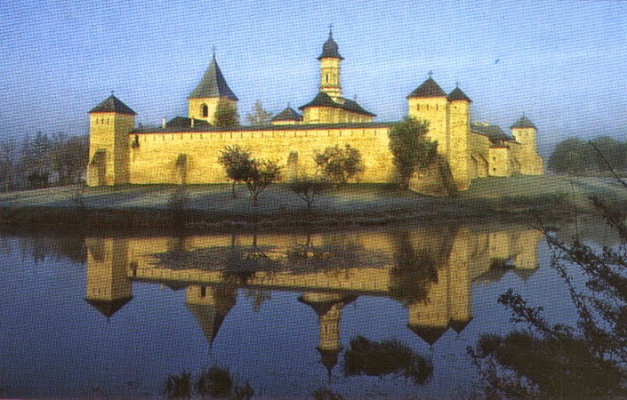 Mitocu Dragomirnei, jud. Suceava societatea civila