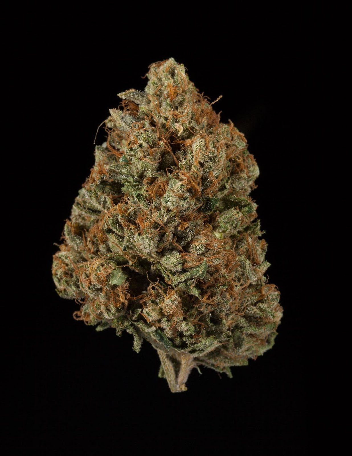 CAGG OG | #California #Growers CAGG OG | #California #Growers