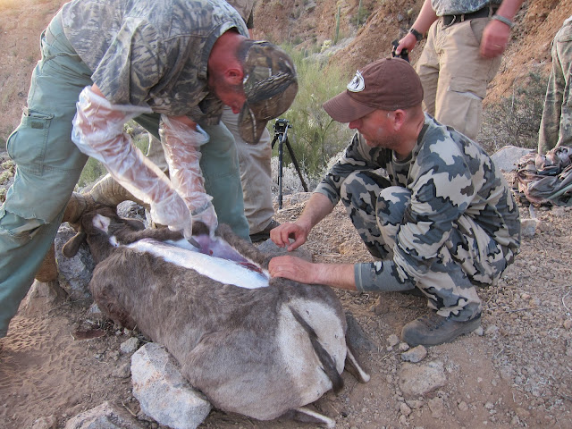 AZ+Unit+22+Desert+Bighorn+Sheep+Hunt+Photos+with+Jayscottoutdoors+23.JPG