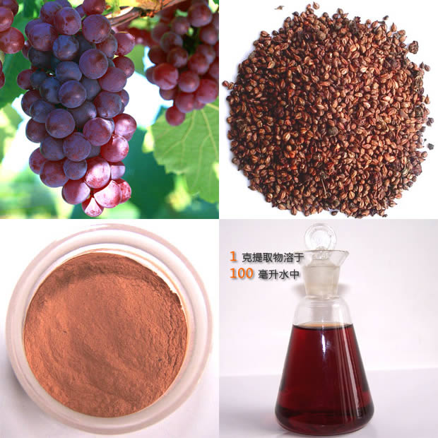 Good Health for Life Benefits of Grape seed Oil