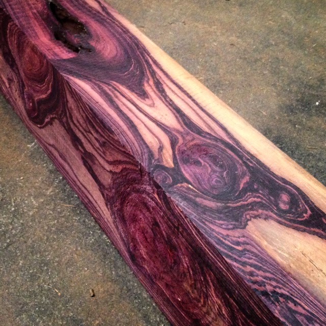 Tropical Exotic Hardwoods Mexican Kingwood Logs!