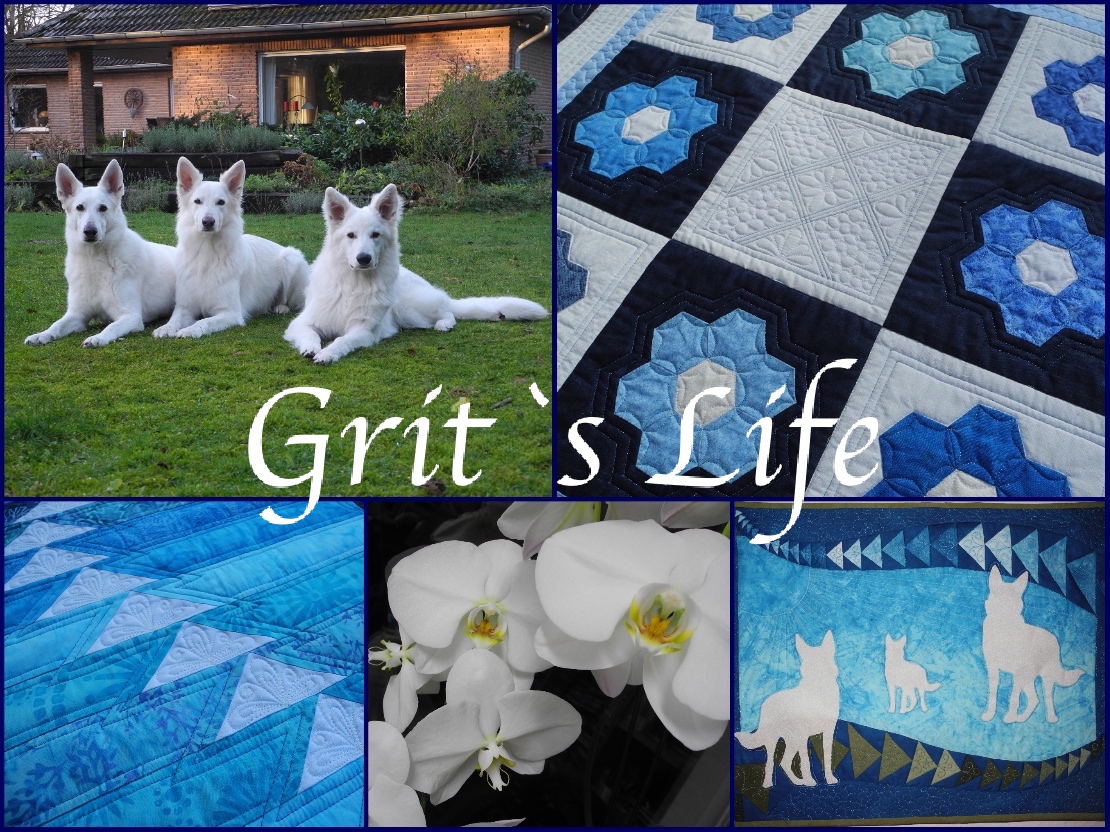 Grit's Life Blogger`s Quilt Festival *1 Wall Hanging