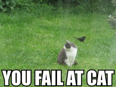 Fail Cat