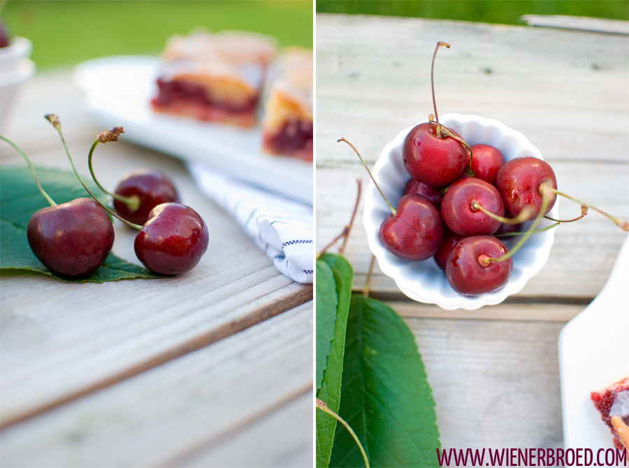 Kurbisausstellung In Ludwigsburg Stadtlandjob