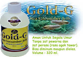 jelly gamat gold g agen jelly gamat medan