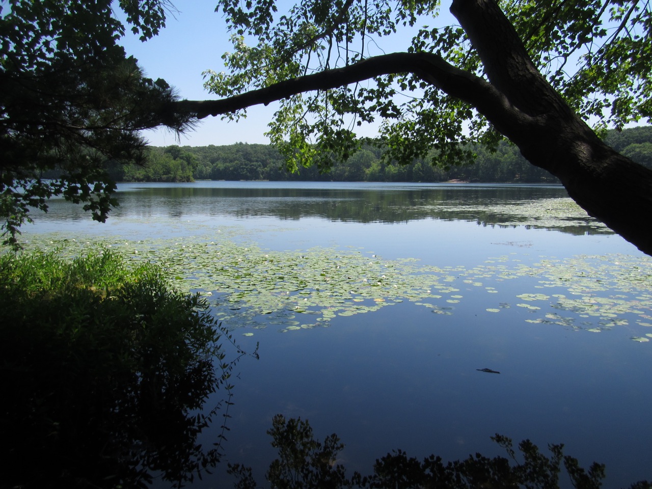Kalamazoo Seasons Hall Lake