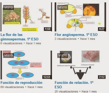 Nuestro vídeos didácticos