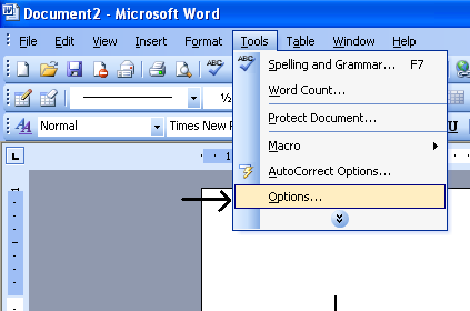 Turn The Drawing Canvas On or Off ~ Microsoft Office Support