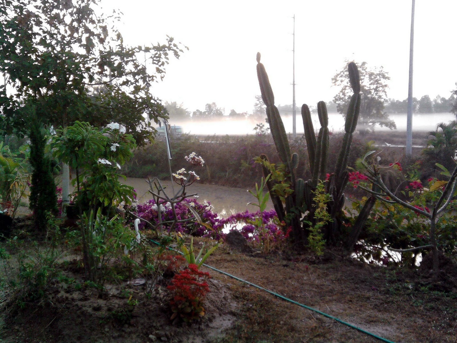 Auswandern Nach Thailand Mein Erstes Haus Im Isaan