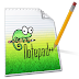 Notepad++ 6.8.6 Multilingual