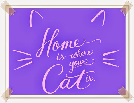 HOME is where your cat is