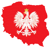 Znalezione obrazy dla zapytania orze&Aring; bia&Aring;y