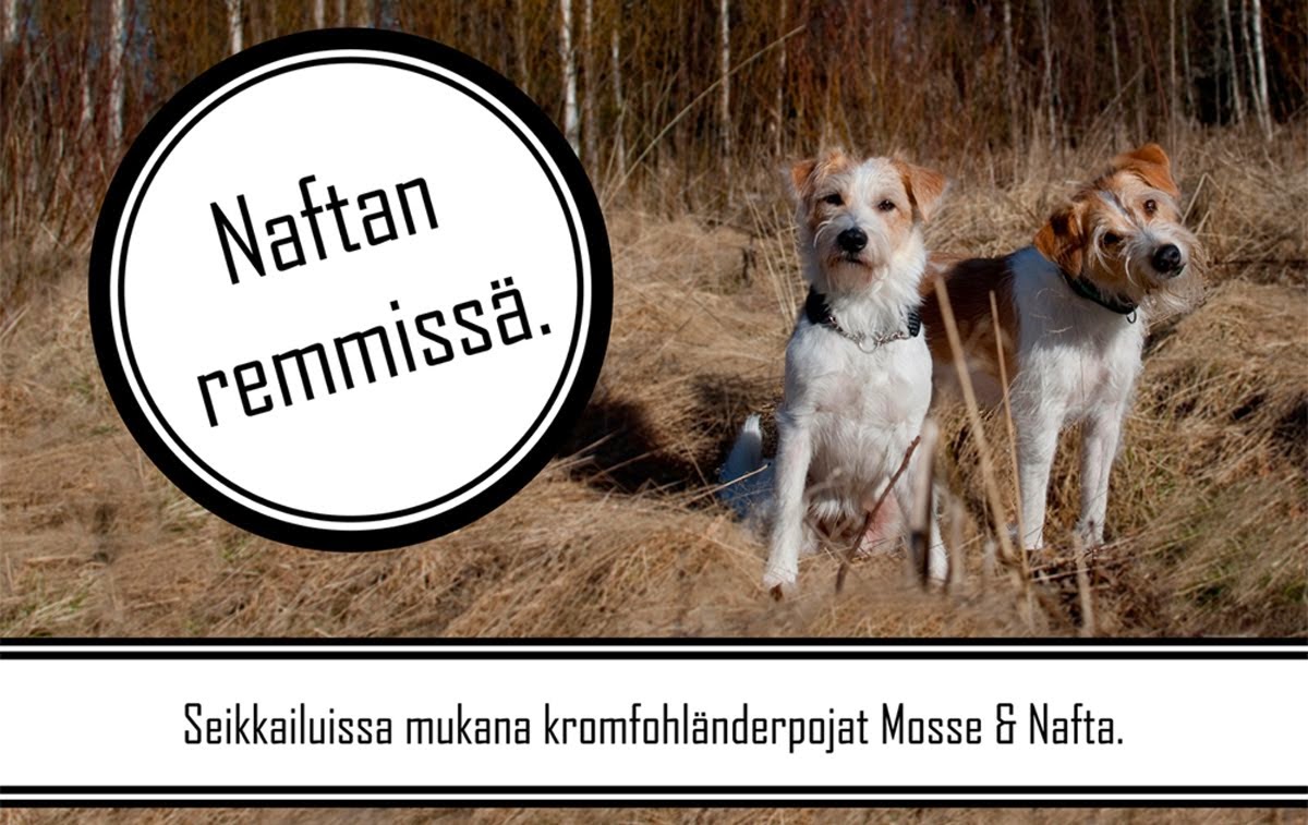 Naftan remmissä