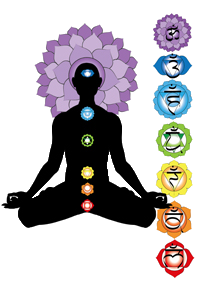Sign Up for your FREE 10-Step Chakra eCourse!