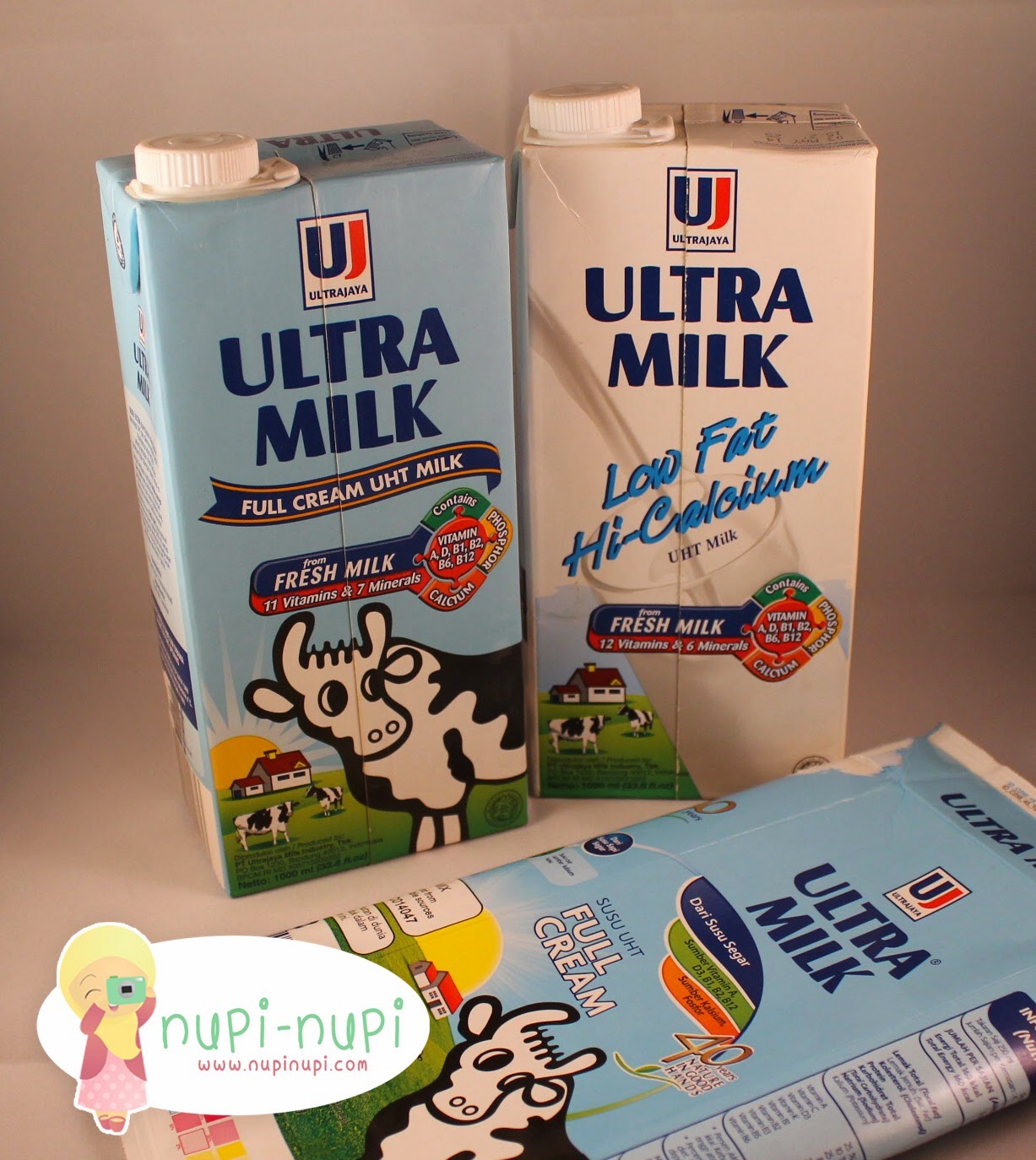 nupi-nupi: Recycled # 13 : Milk Carton Wallet