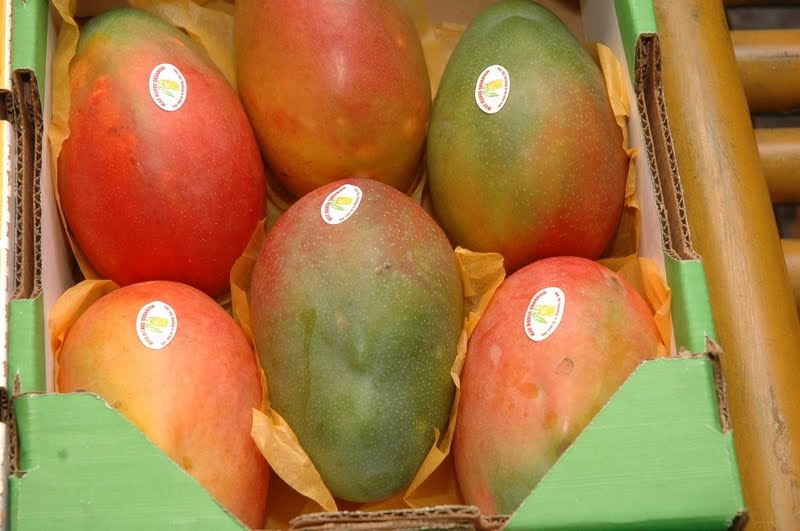 Crecen exportaciones de mango preparado de Perú