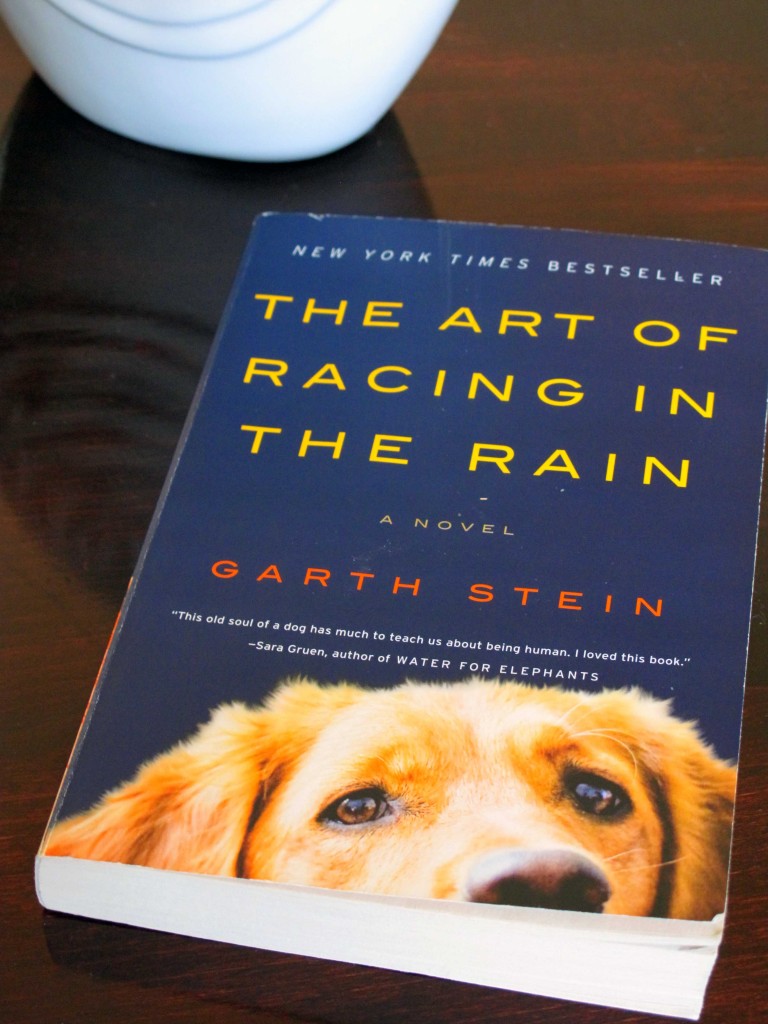 Clothed with Grace The Art of Racing in the Rain