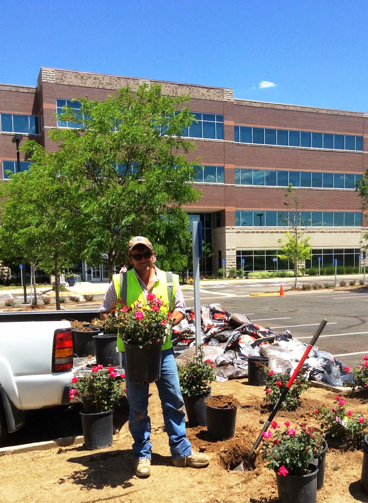 Pinnacol Assurance Careers A Rose is a rose is a rose...